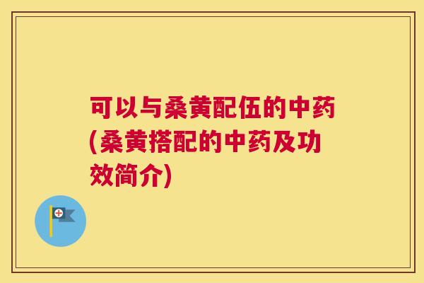 可以与桑黄配伍的(桑黄搭配的及功效简介)