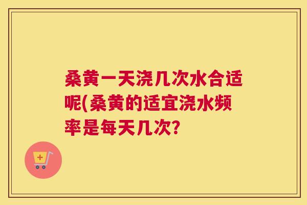 桑黄一天浇几次水合适呢(桑黄的适宜浇水频率是每天几次? 桑黄一天浇几次水合适呢(桑黄的适宜浇水频率是每天几次?