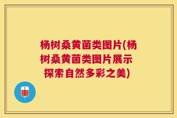 杨树桑黄菌类图片(杨树桑黄菌类图片展示 探索自然多彩之美) 杨树桑黄菌类图片(杨树桑黄菌类图片展示 探索自然多彩之美)