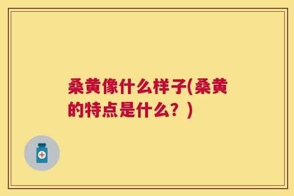 桑黄像什么样子(桑黄的特点是什么?) 桑黄像什么样子(桑黄的特点是什么?)