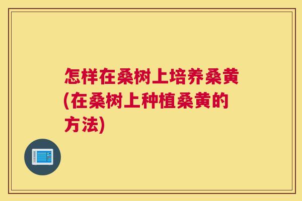 怎样在桑树上培养桑黄(在桑树上种植桑黄的方法) 怎样在桑树上培养桑黄(在桑树上种植桑黄的方法)