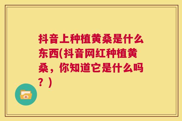 抖音上种植黄桑是什么东西(抖音网红种植黄桑,你知道它是什么吗?) 抖音上种植黄桑是什么东西(抖音网红种植黄桑,你知道它是什么吗?)