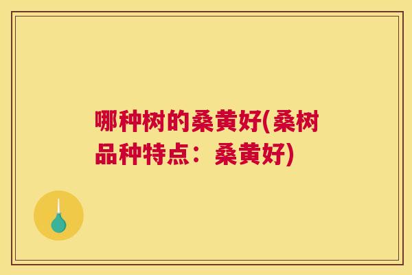 哪种树的桑黄好(桑树品种特点:桑黄好) 哪种树的桑黄好(桑树品种特点:桑黄好)