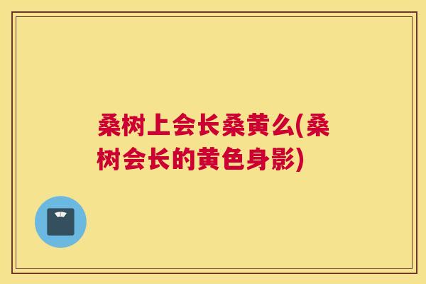桑树上会长桑黄么(桑树会长的黄色身影) 桑树上会长桑黄么(桑树会长的黄色身影)