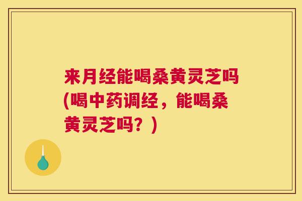 来能喝桑黄灵芝吗(喝调经,能喝桑黄灵芝吗?) 来能喝桑黄灵芝吗(喝调经,能喝桑黄灵芝吗?)
