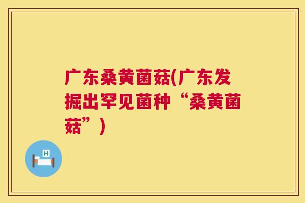 广东桑黄菌菇(广东发掘出罕见菌种“桑黄菌菇”) 广东桑黄菌菇(广东发掘出罕见菌种“桑黄菌菇”)