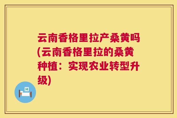 云南香格里拉产桑黄吗(云南香格里拉的桑黄种植:实现农业转型升级) 云南香格里拉产桑黄吗(云南香格里拉的桑黄种植:实现农业转型升级)