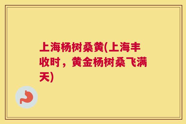 上海杨树桑黄(上海丰收时,黄金杨树桑飞满天) 上海杨树桑黄(上海丰收时,黄金杨树桑飞满天)