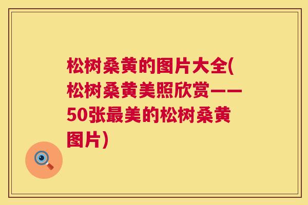 松树桑黄的图片大全(松树桑黄美照欣赏——50张美的松树桑黄图片) 松树桑黄的图片大全(松树桑黄美照欣赏——50张美的松树桑黄图片)