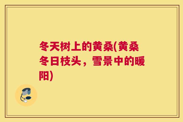 冬天树上的黄桑(黄桑冬日枝头,雪景中的暖阳) 冬天树上的黄桑(黄桑冬日枝头,雪景中的暖阳)