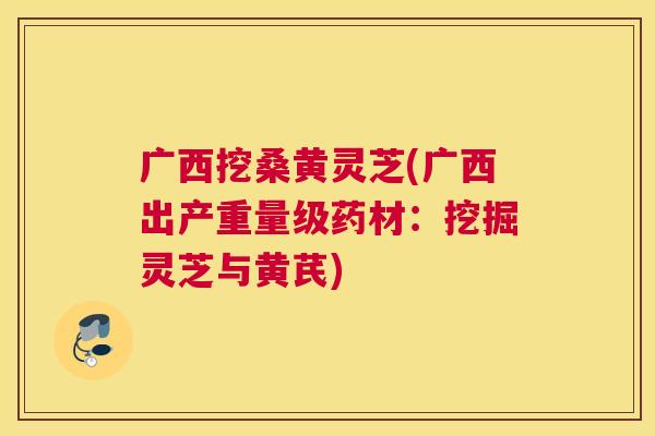 广西挖桑黄灵芝(广西出产重量级药材:挖掘灵芝与黄芪) 广西挖桑黄灵芝(广西出产重量级药材:挖掘灵芝与黄芪)