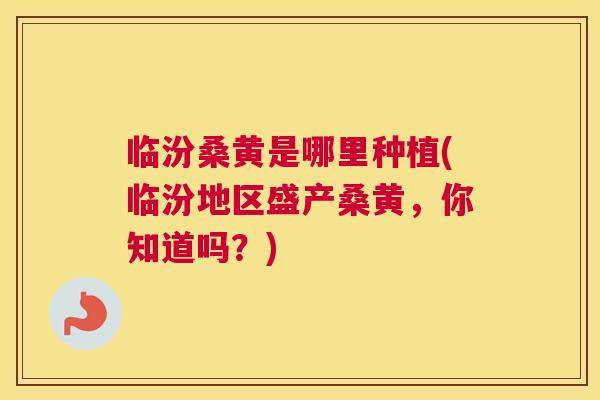 临汾桑黄是哪里种植(临汾地区盛产桑黄,你知道吗?) 临汾桑黄是哪里种植(临汾地区盛产桑黄,你知道吗?)