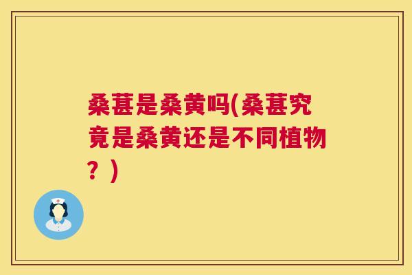 桑葚是桑黄吗(桑葚究竟是桑黄还是不同植物?) 桑葚是桑黄吗(桑葚究竟是桑黄还是不同植物?)