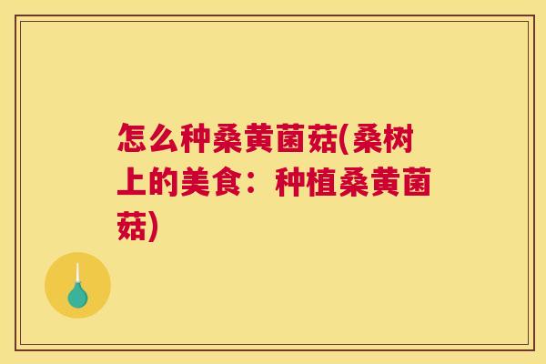 怎么种桑黄菌菇(桑树上的美食:种植桑黄菌菇) 怎么种桑黄菌菇(桑树上的美食:种植桑黄菌菇)