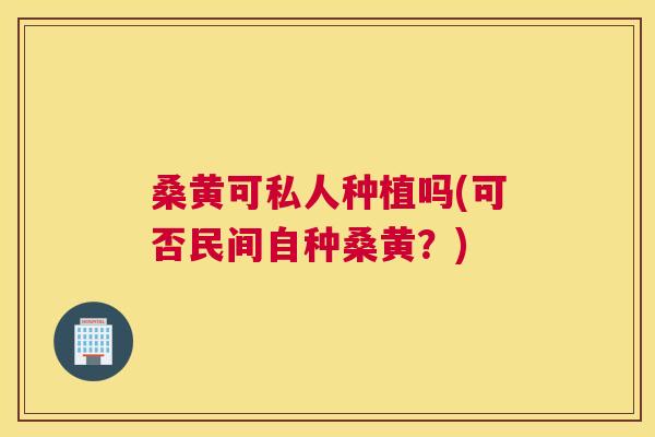桑黄可私人种植吗(可否民间自种桑黄?) 桑黄可私人种植吗(可否民间自种桑黄?)