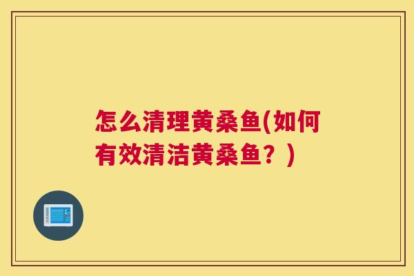怎么清理黄桑鱼(如何有效清洁黄桑鱼?) 怎么清理黄桑鱼(如何有效清洁黄桑鱼?)