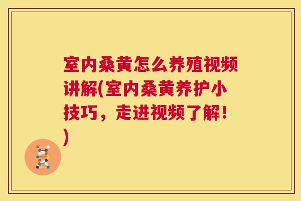 室内桑黄怎么养殖视频讲解(室内桑黄养护小技巧,走进视频了解!) 室内桑黄怎么养殖视频讲解(室内桑黄养护小技巧,走进视频了解!)