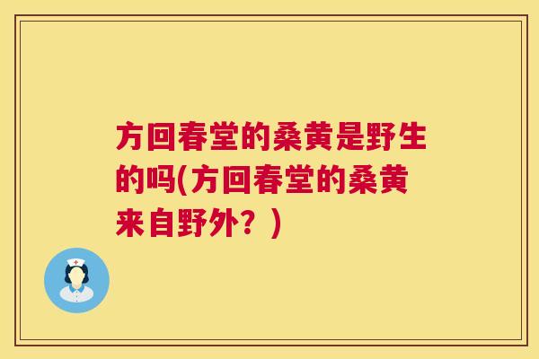 方回春堂的桑黄是野生的吗(方回春堂的桑黄来自野外?) 方回春堂的桑黄是野生的吗(方回春堂的桑黄来自野外?)