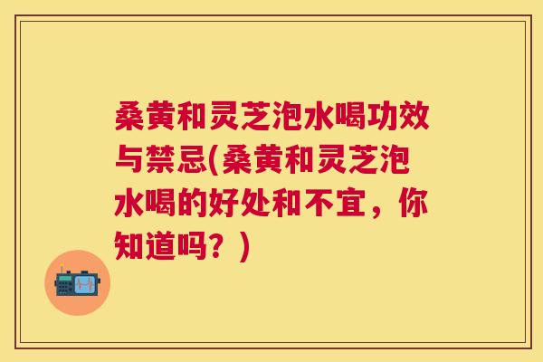 桑黄和灵芝泡水喝功效与禁忌(桑黄和灵芝泡水喝的好处和不宜,你知道吗?) 桑黄和灵芝泡水喝功效与禁忌(桑黄和灵芝泡水喝的好处和不宜,你知道吗?)