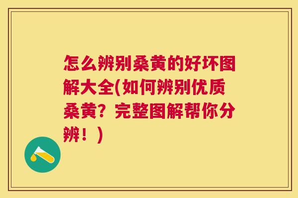怎么辨别桑黄的好坏图解大全(如何辨别优质桑黄?完整图解帮你分辨!) 怎么辨别桑黄的好坏图解大全(如何辨别优质桑黄?完整图解帮你分辨!)