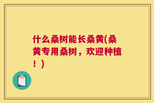 什么桑树能长桑黄(桑黄专用桑树,欢迎种植!) 什么桑树能长桑黄(桑黄专用桑树,欢迎种植!)