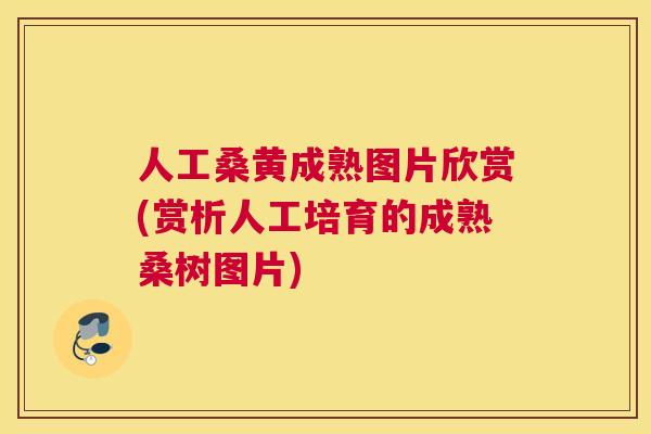 人工桑黄成熟图片欣赏(赏析人工培育的成熟桑树图片) 人工桑黄成熟图片欣赏(赏析人工培育的成熟桑树图片)