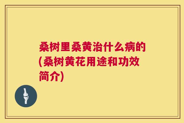 桑树里桑黄什么的(桑树黄花用途和功效简介)