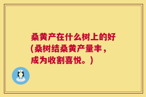 桑黄产在什么树上的好(桑树结桑黄产量丰,成为收割喜悦。) 桑黄产在什么树上的好(桑树结桑黄产量丰,成为收割喜悦。)