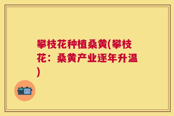 攀枝花种植桑黄(攀枝花:桑黄产业逐年升温) 攀枝花种植桑黄(攀枝花:桑黄产业逐年升温)