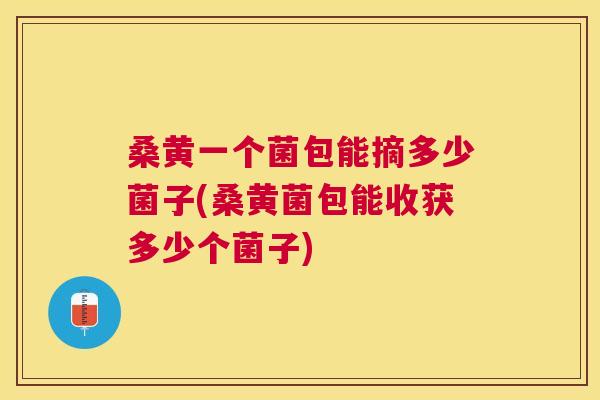 桑黄一个菌包能摘多少菌子(桑黄菌包能收获多少个菌子) 桑黄一个菌包能摘多少菌子(桑黄菌包能收获多少个菌子)