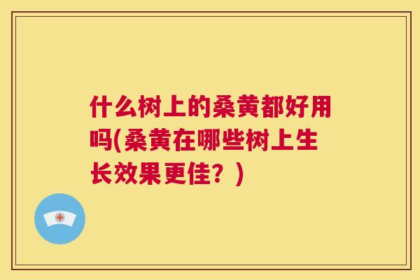 什么树上的桑黄都好用吗(桑黄在哪些树上生长效果更佳？)
