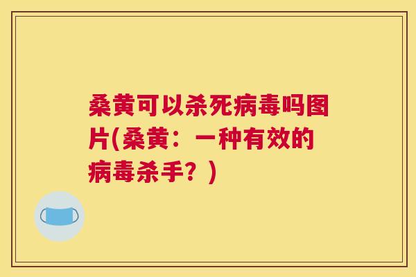 桑黄可以杀死吗图片(桑黄:一种有效的杀手?) 桑黄可以杀死吗图片(桑黄:一种有效的杀手?)