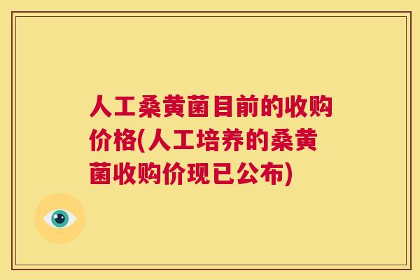 人工桑黄菌目前的收购价格(人工培养的桑黄菌收购价现已公布) 人工桑黄菌目前的收购价格(人工培养的桑黄菌收购价现已公布)
