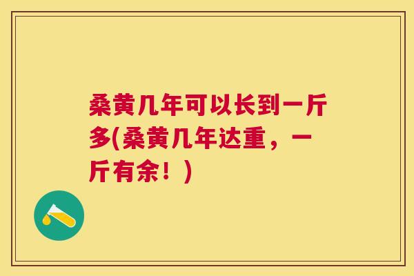 桑黄几年可以长到一斤多(桑黄几年达重,一斤有余!) 桑黄几年可以长到一斤多(桑黄几年达重,一斤有余!)
