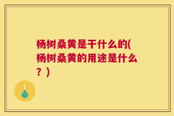 杨树桑黄是干什么的(杨树桑黄的用途是什么?) 杨树桑黄是干什么的(杨树桑黄的用途是什么?)