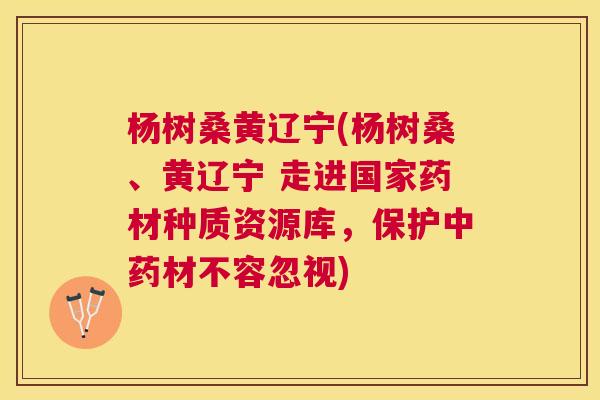 杨树桑黄辽宁(杨树桑、黄辽宁 走进国家药材种质资源库，保护材不容忽视)