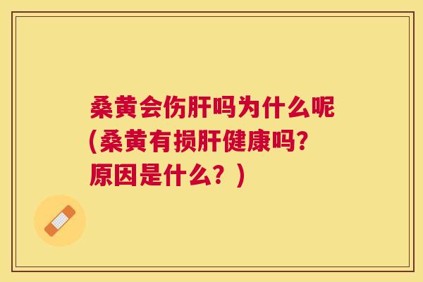 桑黄会伤吗为什么呢(桑黄有损健康吗?原因是什么?) 桑黄会伤吗为什么呢(桑黄有损健康吗?原因是什么?)