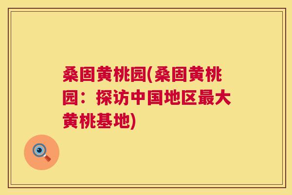 桑固黄桃园(桑固黄桃园:探访中国地区大黄桃基地) 桑固黄桃园(桑固黄桃园:探访中国地区大黄桃基地)