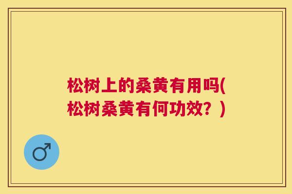 松树上的桑黄有用吗(松树桑黄有何功效?) 松树上的桑黄有用吗(松树桑黄有何功效?)