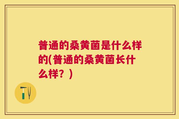 普通的桑黄菌是什么样的(普通的桑黄菌长什么样?) 普通的桑黄菌是什么样的(普通的桑黄菌长什么样?)
