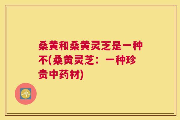 桑黄和桑黄灵芝是一种不(桑黄灵芝：一种珍贵材)
