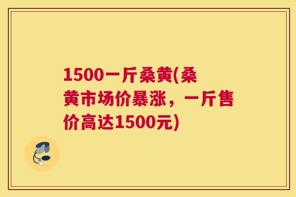 1500一斤桑黄(桑黄市场价暴涨,一斤售价高达1500元) 1500一斤桑黄(桑黄市场价暴涨,一斤售价高达1500元)