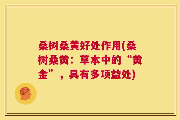 桑树桑黄好处作用(桑树桑黄:草本中的“黄金”,具有多项益处) 桑树桑黄好处作用(桑树桑黄:草本中的“黄金”,具有多项益处)