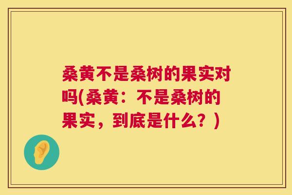 桑黄不是桑树的果实对吗(桑黄:不是桑树的果实,到底是什么?) 桑黄不是桑树的果实对吗(桑黄:不是桑树的果实,到底是什么?)