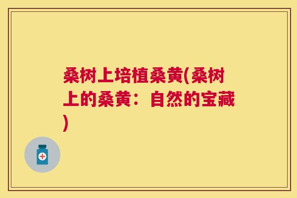 桑树上培植桑黄(桑树上的桑黄:自然的宝藏) 桑树上培植桑黄(桑树上的桑黄:自然的宝藏)