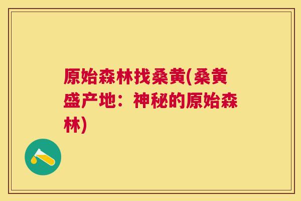 原始森林找桑黄(桑黄盛产地：神秘的原始森林)