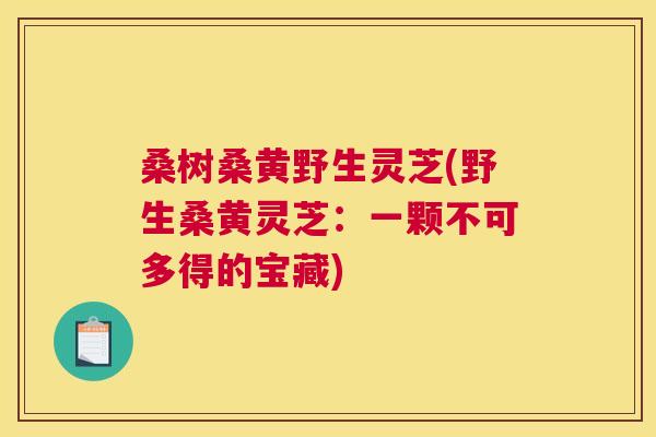 桑树桑黄野生灵芝(野生桑黄灵芝:一颗不可多得的宝藏) 桑树桑黄野生灵芝(野生桑黄灵芝:一颗不可多得的宝藏)