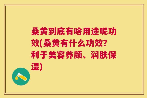 桑黄到底有啥用途呢功效(桑黄有什么功效?利于美容养颜、润肤保湿) 桑黄到底有啥用途呢功效(桑黄有什么功效?利于美容养颜、润肤保湿)