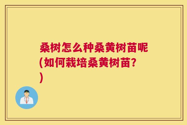 桑树怎么种桑黄树苗呢(如何栽培桑黄树苗?) 桑树怎么种桑黄树苗呢(如何栽培桑黄树苗?)
