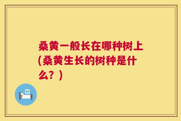 桑黄一般长在哪种树上(桑黄生长的树种是什么?) 桑黄一般长在哪种树上(桑黄生长的树种是什么?)